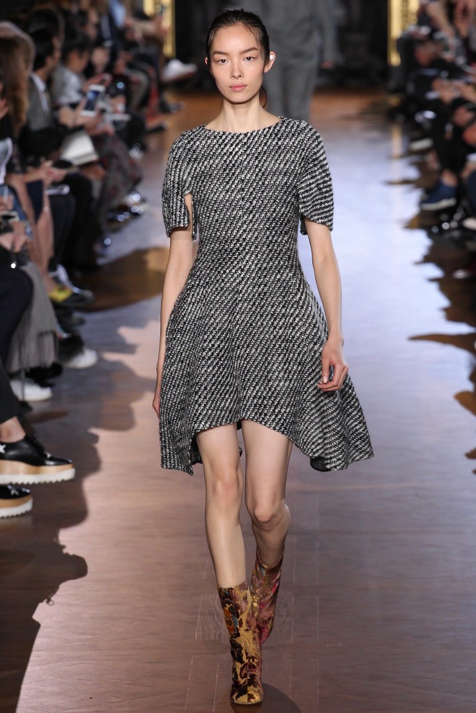 Stella McCartney F/W 2015 – Best Looks – Paris Fashion Week | What We Adore