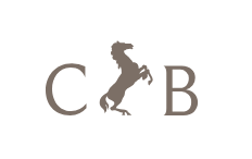 Cheval Blanc Paris Logo